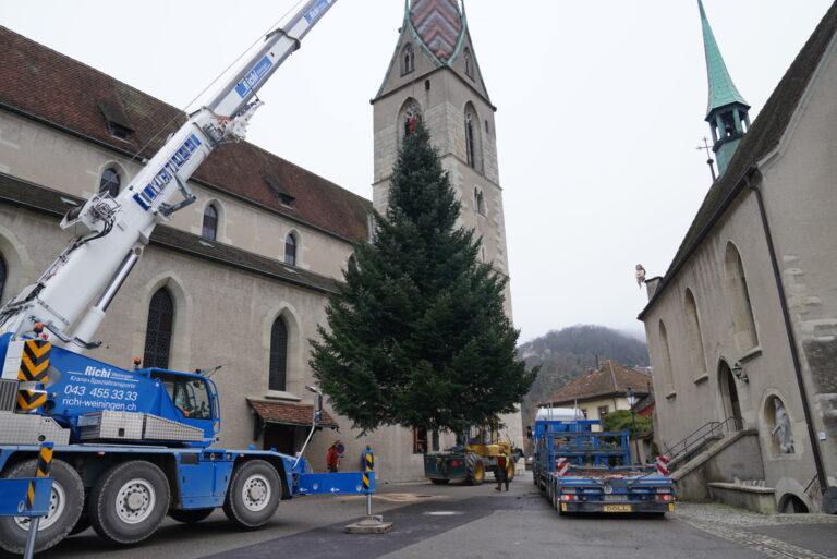 Ein Badener Weihnachtsbaum für einen besonderen Anlass