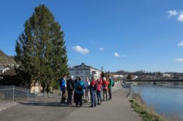 Rentierwanderung 1/2018  Klingnauer Stausee 33