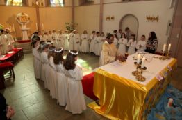 Erstkommunion in der Pfarrei St.Sebastian – 29. April 2018 21