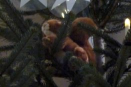 Sternenschmuck 125 Jahre Kirche St. Sebastian 4