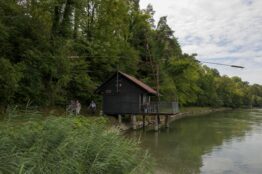 «Rheinuferwanderung von Sisseln nach Laufenburg» 19
