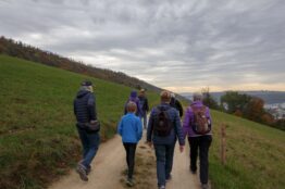 Rentierwanderung Niederweningen - Schartenfels 24