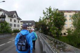 Rentierwanderung: Mägenwil, Meiengrüen, Mellingen, Fislisbach - 7. Juli 2021 14