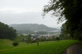 Rentierwanderung: Mägenwil, Meiengrüen, Mellingen, Fislisbach - 7. Juli 2021 1