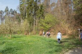 Rentierwanderung 2-2022    Weilerwanderung in Leuggern 8