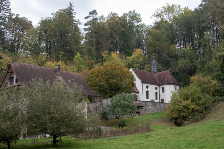 Rückblick Rentierwanderung 8/2023 Rückblick Rentierwanderung 8/2023