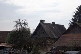 Rückblick Rentierwanderung 8/2023 2