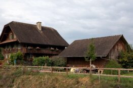 Rückblick Rentierwanderung 8/2023 4