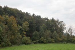 Rückblick Rentierwanderung 8/2023 11