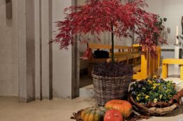 R&uuml;ckblick: Erntedank in St. Anton 7