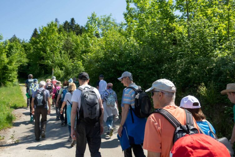 Voranzeige: Rentierwanderung
