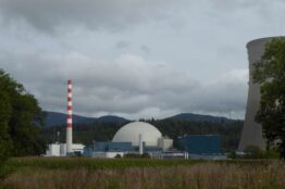 Rentierwanderung 110