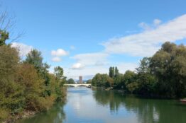 Rentierwanderung 123