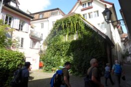 Rentierwanderung 125