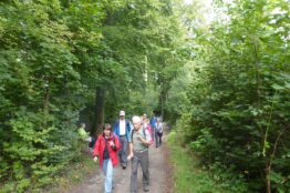 Rentierwanderung 107