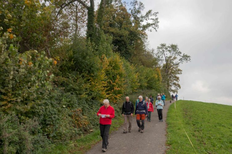 Voranzeige: Rentierwanderung