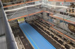 Bilder Klosterrenovation 1