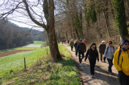 1-2026  Rentierwanderung B&ouml;zberg, Itelenschlucht, Remigen 19