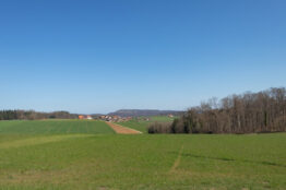 1-2026  Rentierwanderung B&ouml;zberg, Itelenschlucht, Remigen 2
