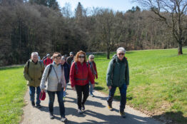 1-2026  Rentierwanderung Bözberg, Itelenschlucht, Remigen 4