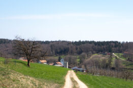 1-2026  Rentierwanderung B&ouml;zberg, Itelenschlucht, Remigen 7