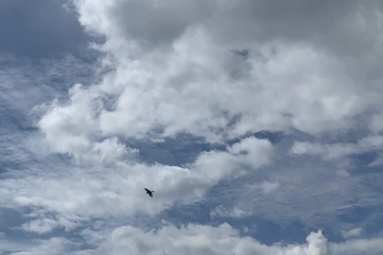 Christi Himmelfahrt: