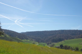 R&uuml;ckblick: Rentierwanderung 2/2026 Mettauertal 2