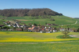 Rückblick: Rentierwanderung 2/2026 Mettauertal 4