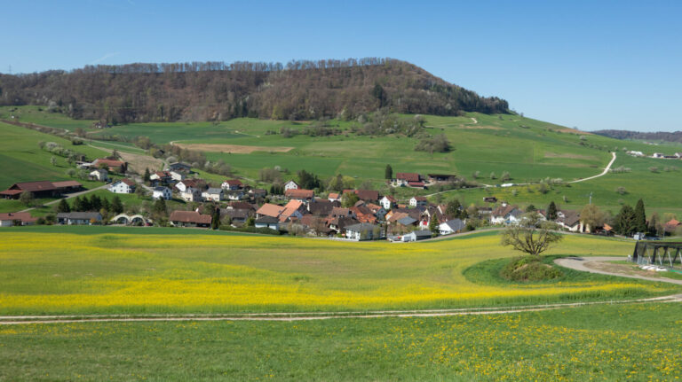 Rückblick: Rentierwanderung 2/2026 Mettauertal