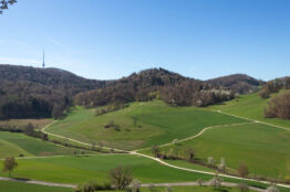R&uuml;ckblick: Rentierwanderung 2/2026 Mettauertal 8