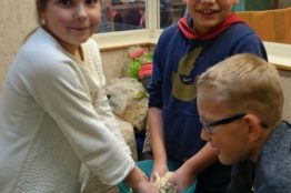 Brotbacken mit den Erstkommunionkinder 6