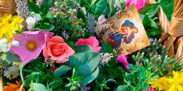 Mariä Himmelfahrt und Kräutersegnung