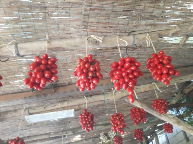 Pfarreireise an die Amalfik&uuml;ste - Fotobericht 17