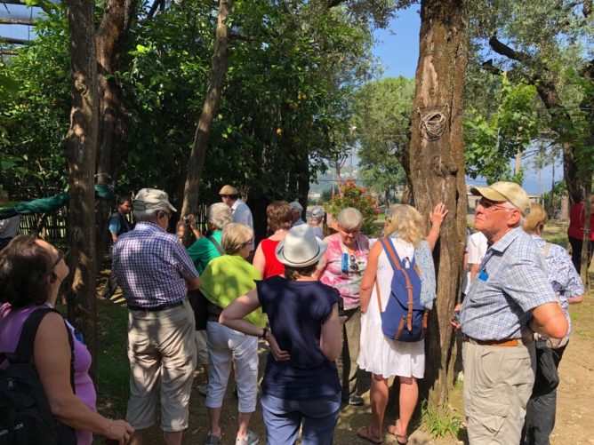 Pfarreireise an die Amalfik&uuml;ste - Fotobericht 20