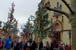 Rückblick Palmsonntag