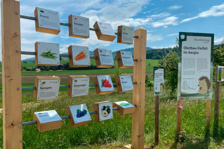 Ferien daheim? Auf Entdeckungsreise in Spreitenbach