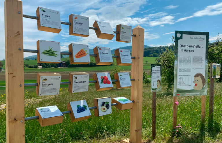 Ferien daheim? Auf Entdeckungsreise in Spreitenbach
