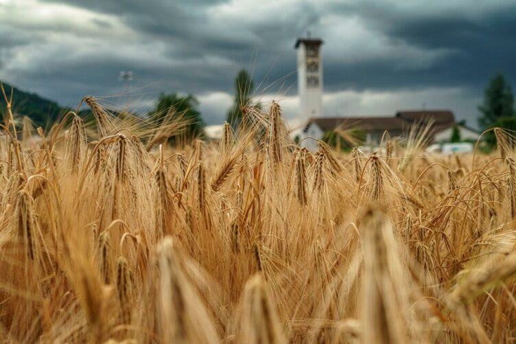 Festgottesdienst zum Patrozinium und Erntedank in Killwangen