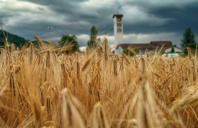Festgottesdienst zum Patrozinium und Erntedank in Killwangen