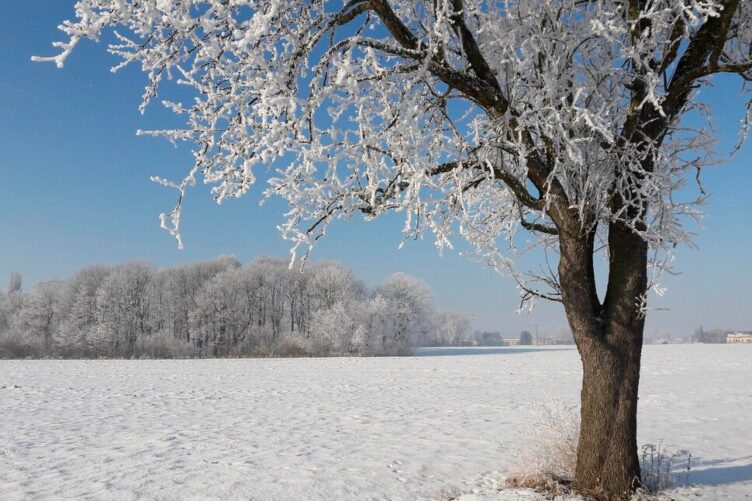 Licht in der Winterzeit
