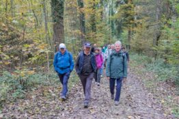 Rentierwanderung 8-2025 Boswil - Feldenmoos - Buttwil - Muri 11