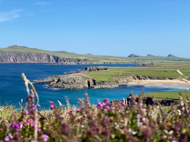 Mitsingprojekt Irische Messe